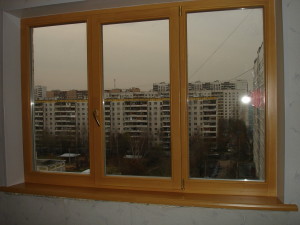 сосна 3